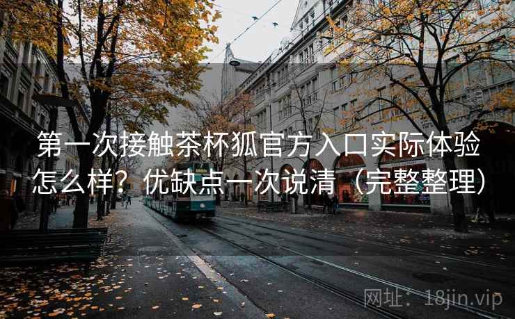 第一次接触茶杯狐官方入口实际体验怎么样？优缺点一次说清（完整整理）