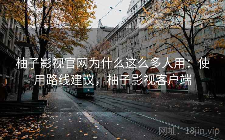 柚子影视官网为什么这么多人用：使用路线建议，柚子影视客户端