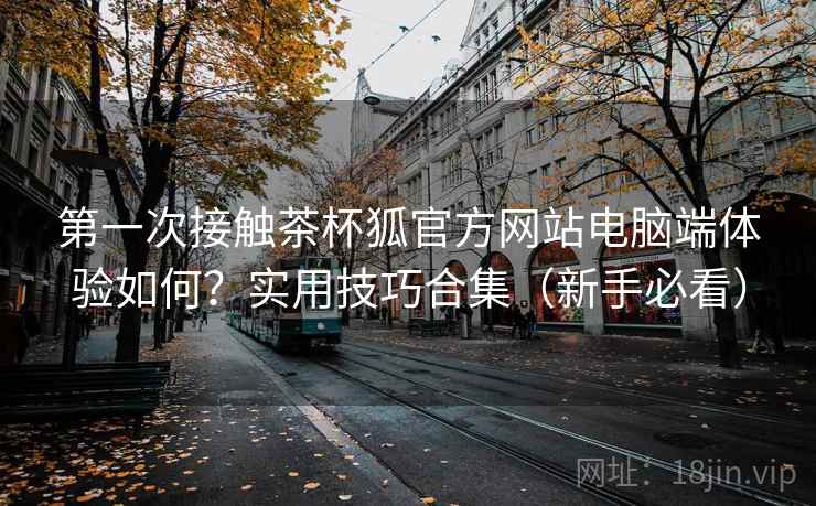 第一次接触茶杯狐官方网站电脑端体验如何？实用技巧合集（新手必看）