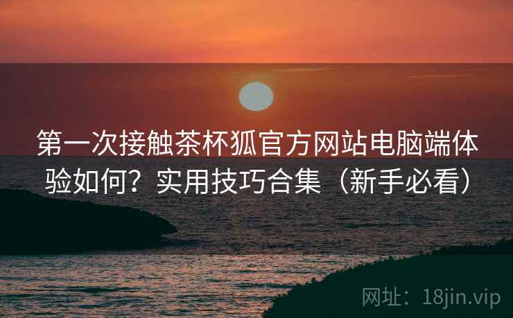 第一次接触茶杯狐官方网站电脑端体验如何？实用技巧合集（新手必看）